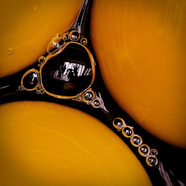 Photograph Hilde Van Hove How Do You Want Your Egg on One Eyeland